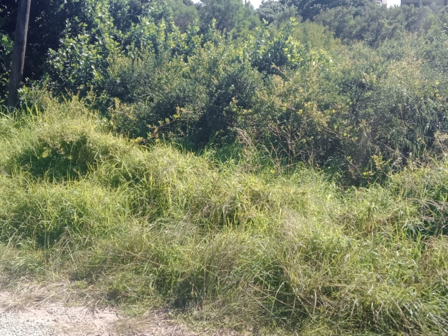 Commercial Property for Sale in Paradise Beach Eastern Cape